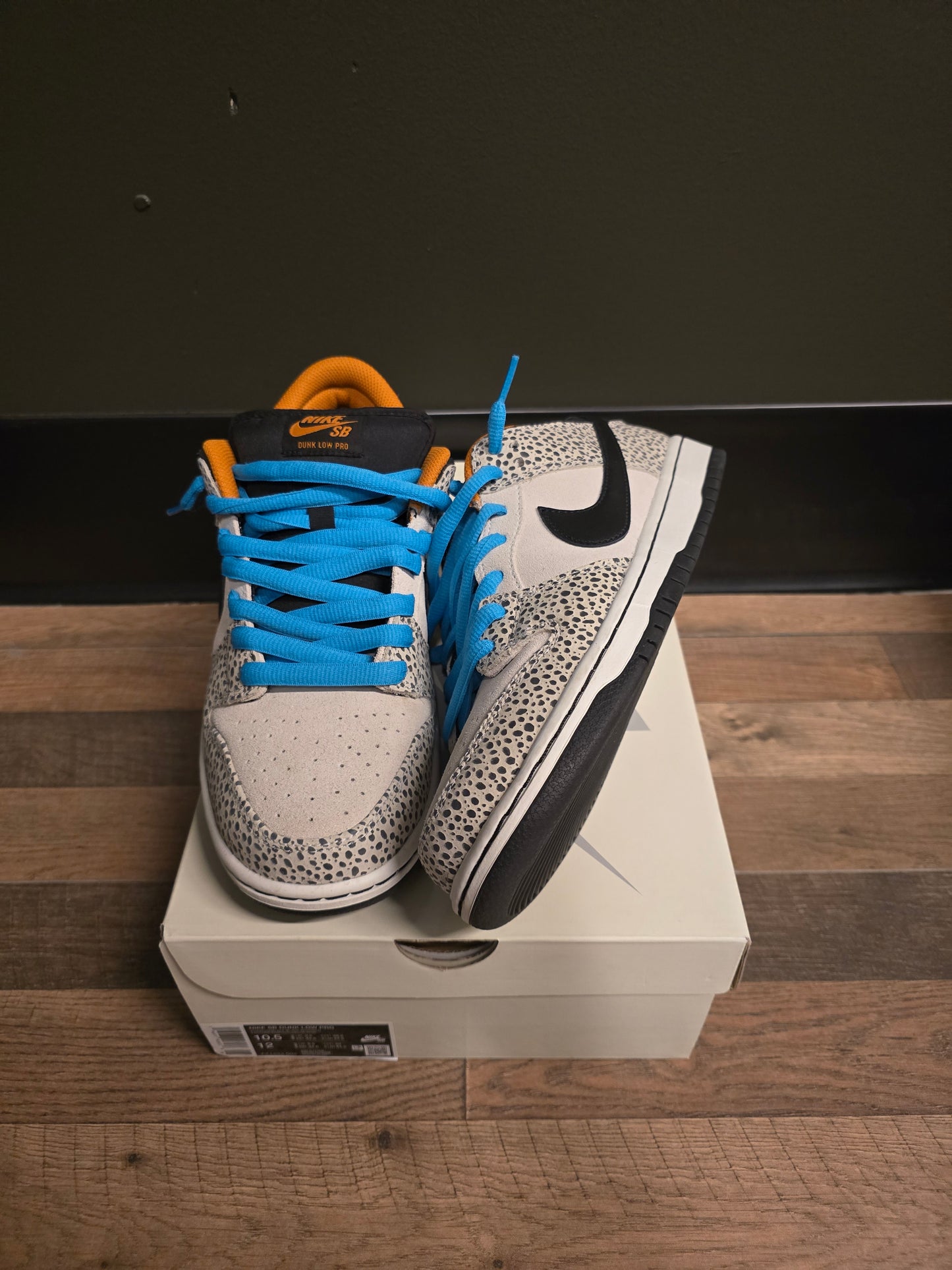 Nike Sb electric pack