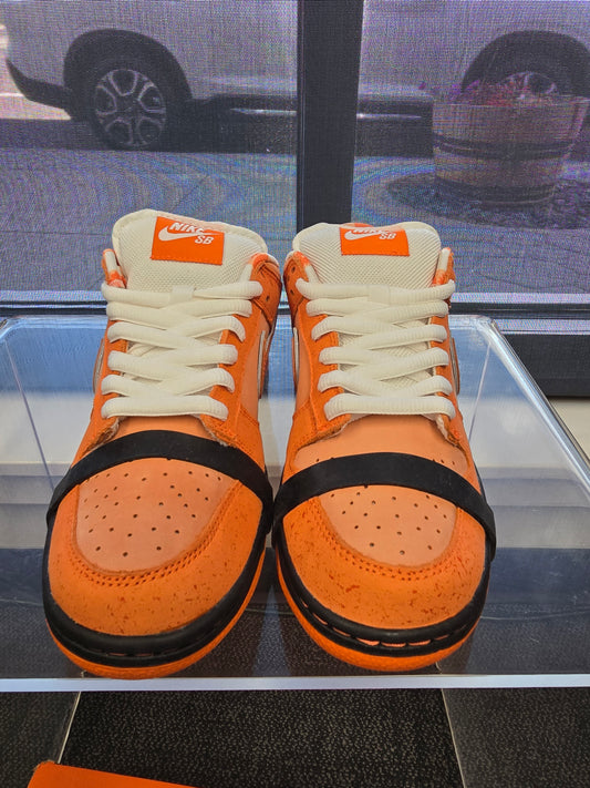 Nike SB Orange Lobster
