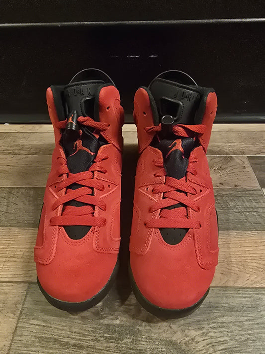 Jordan 6 Toro